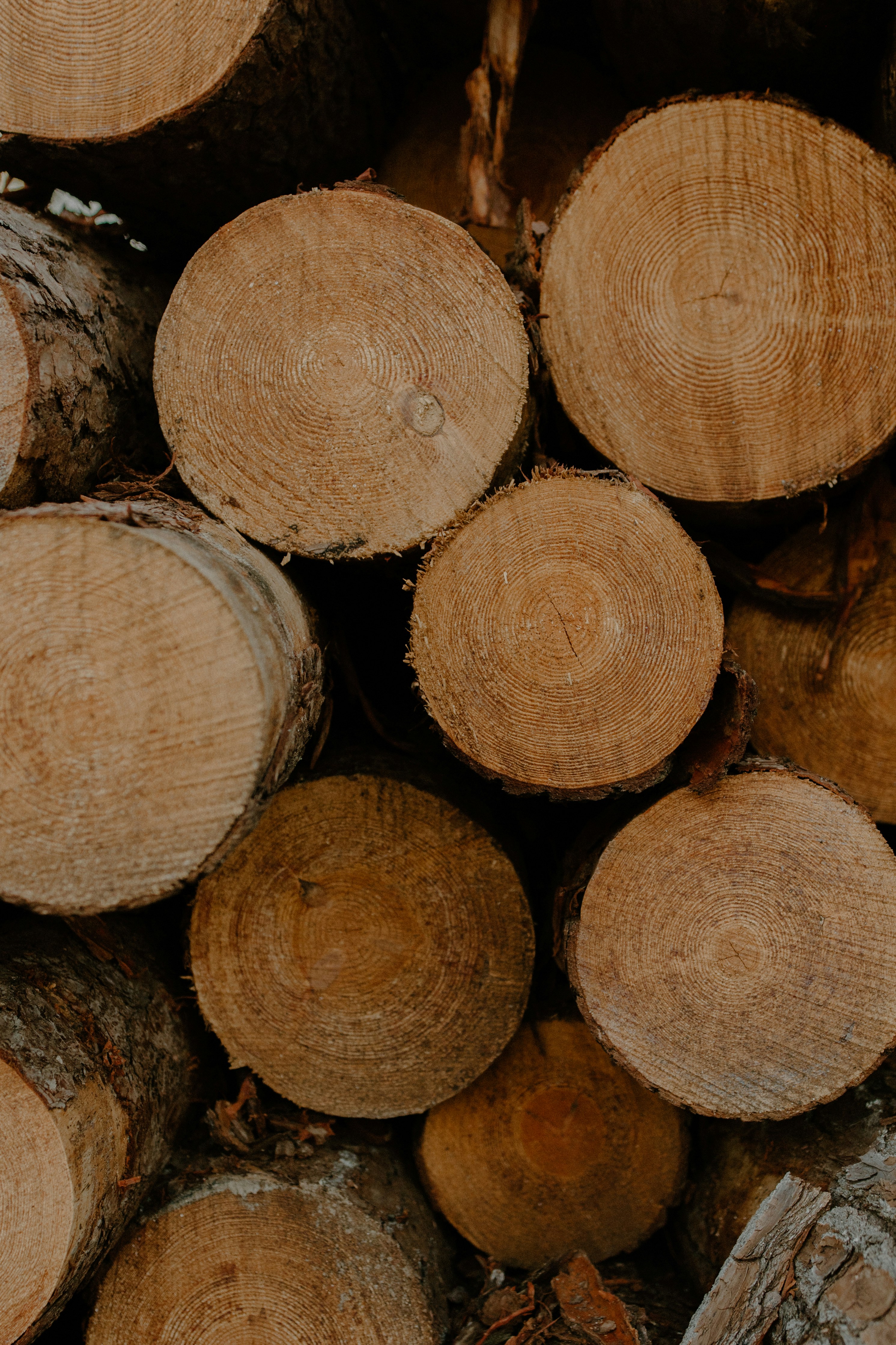 Woodworking craftsmanship